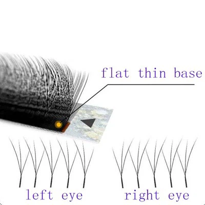 W Eyelash -förlängningar